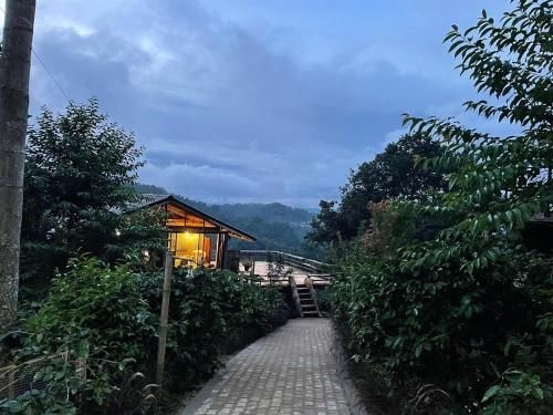 ไร่กาแฟครอบครัวมะ (Ma Family Coffee Farm)3