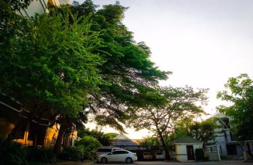 Baan Boonanan1