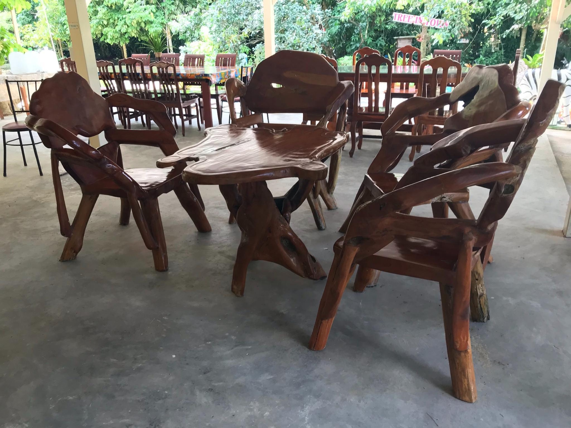 ทรี อิน ทาวน์ (Tree In Town)0