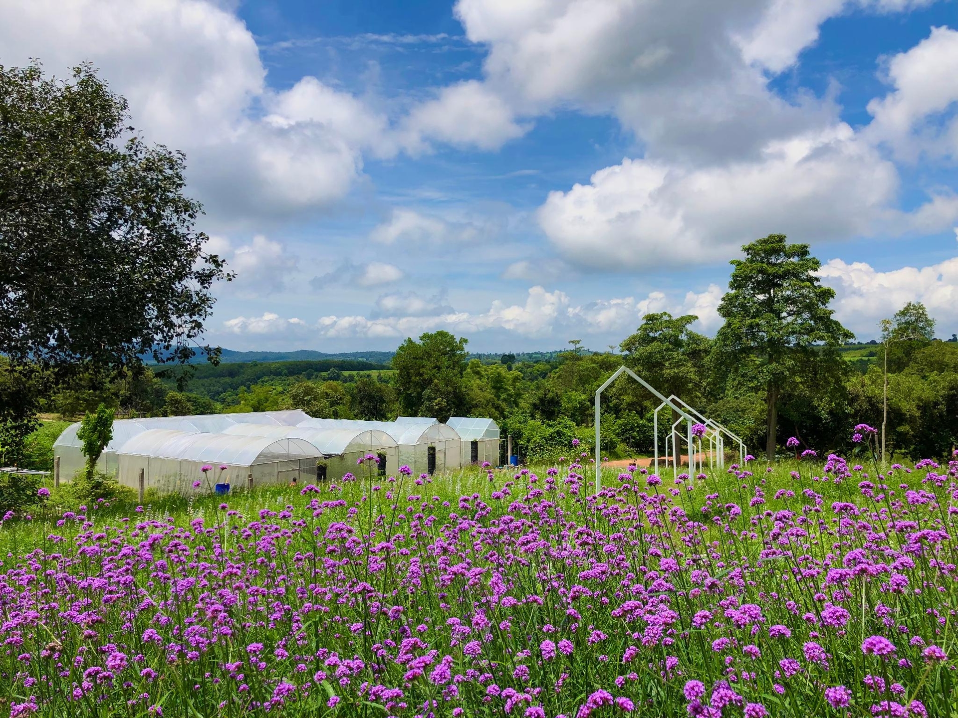 ภูพร้อมดาว ฟาร์มสเตย์ (Phu Prom Dao Farmstay)0