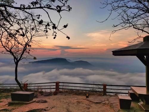 พิทิฟาร์มิลี่ คาเฟ่ แอนด์ แคมปิ้ง (Pitifarmily Cafe & Camping)2