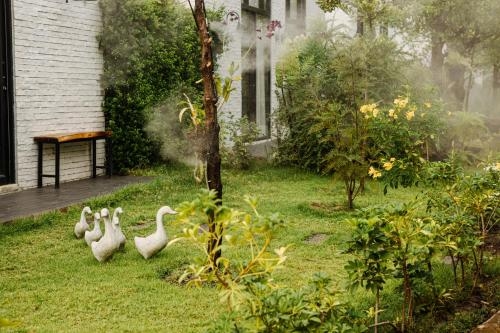 ภูพิงค์ วัลเลย์ รีสอร์ท (Phuping Valley Resort)2