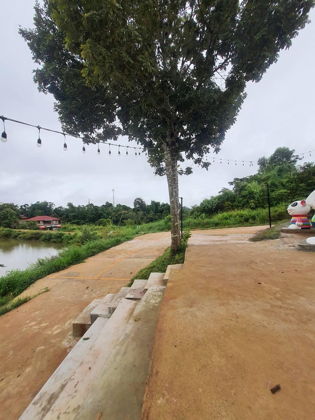 ซันนี่ โฮมสเตย์ เขาค้อ (Sunny Homestay at Khaokho)4