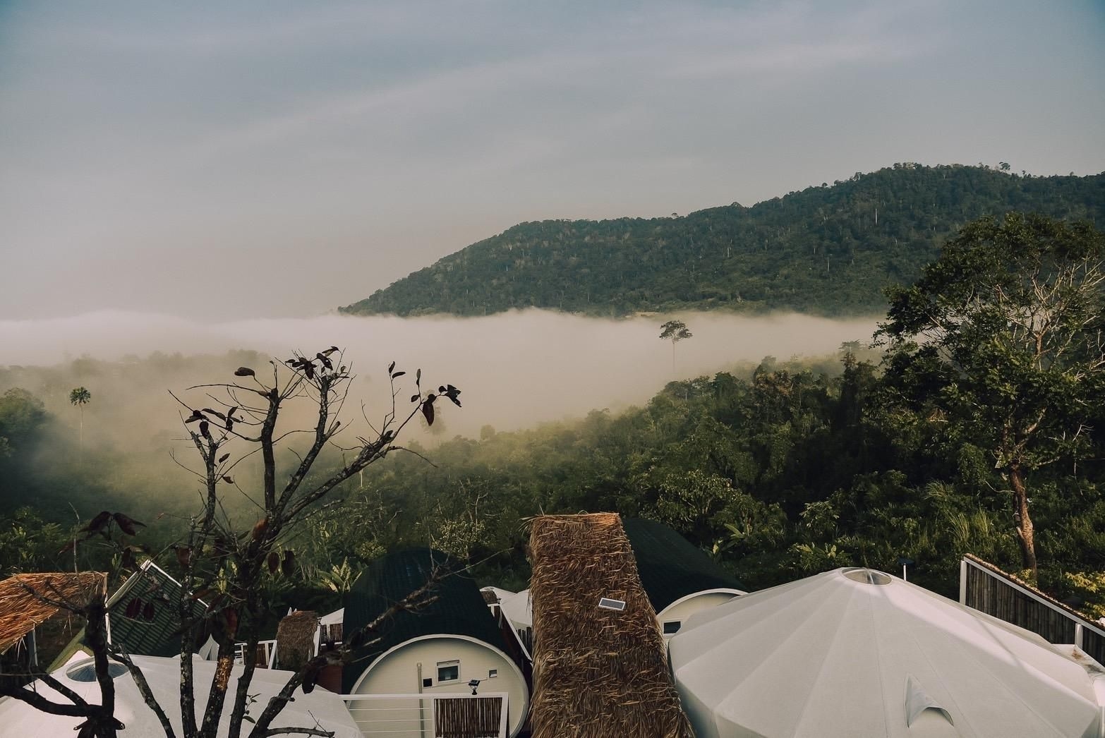 เดอะ เทลลิ่ง แอท เขาค้อ (The telling at Khao Kho)0
