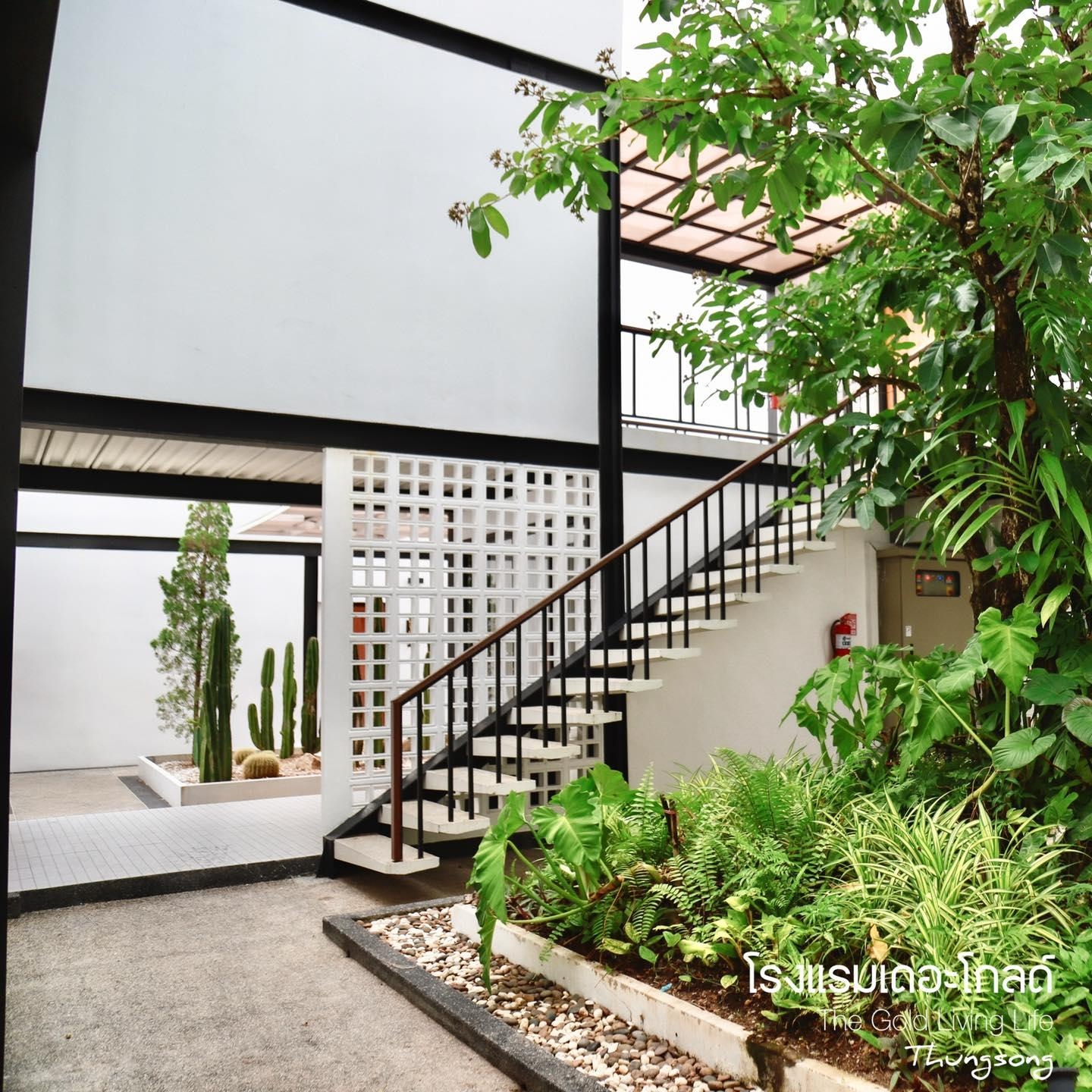 เดอะ โกลด์ ลิฟวิ่ง ไลฟ์ (The Gold Living Life)3