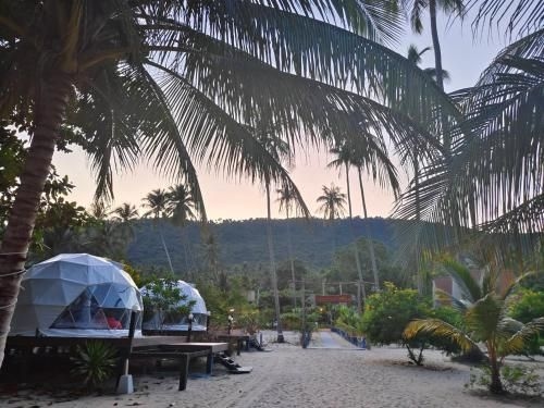 เดอะ แคมเปอร์ รีสอร์ท (The Camper Resort)4