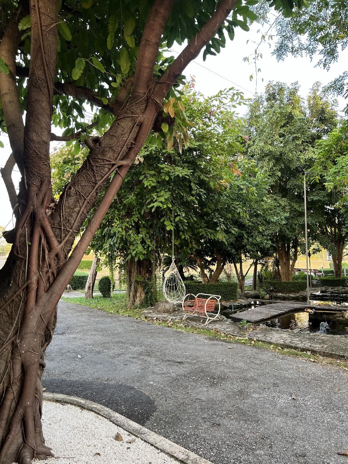 พิจิตรารีสอร์ท (Pijittra Resort)4