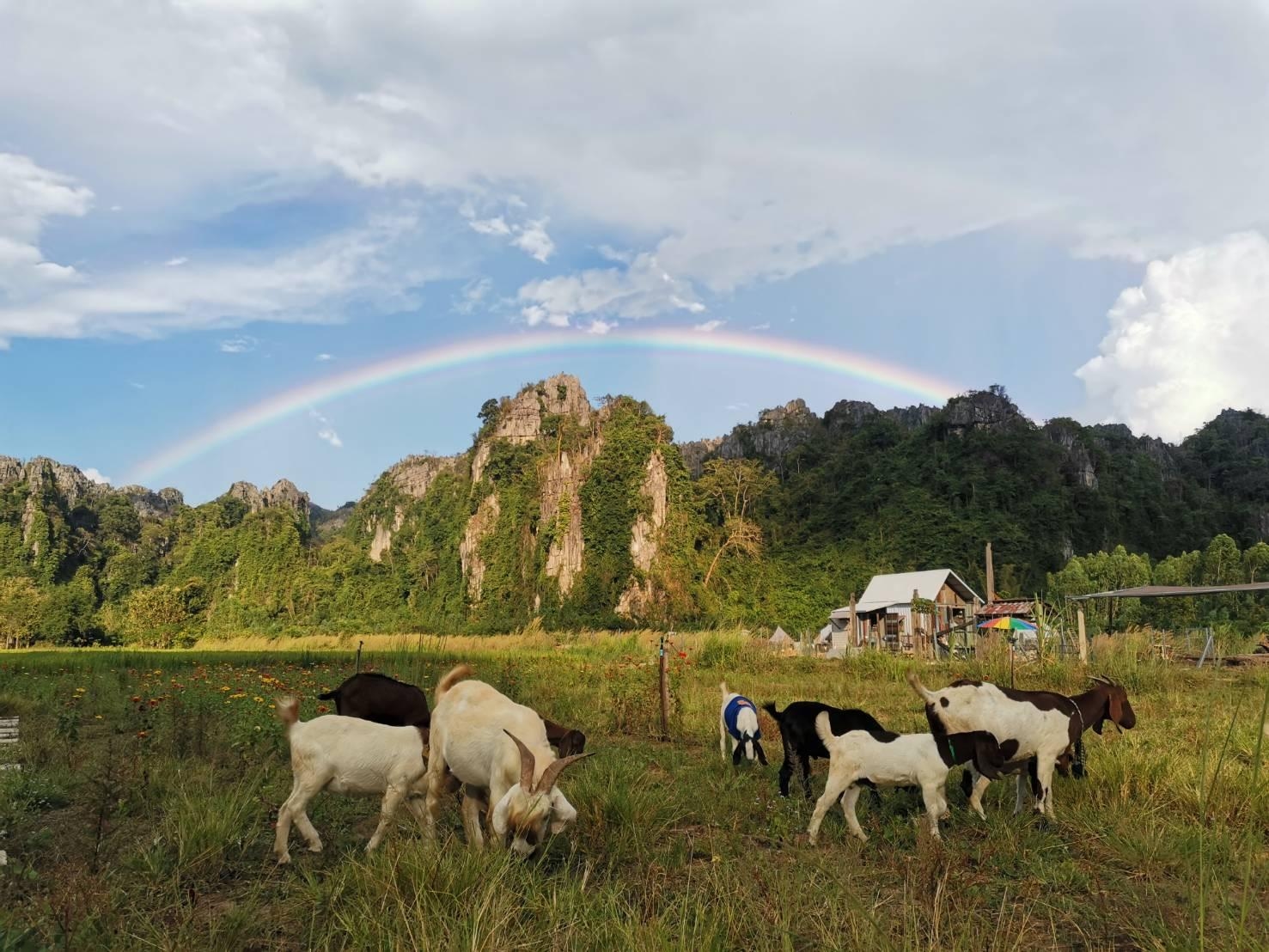 อะ โมเมนต์ ออฟ เลิฟ โดย เรดซี บ้านมุง (A Moment of Love by RedZ @Ban Mung)4
