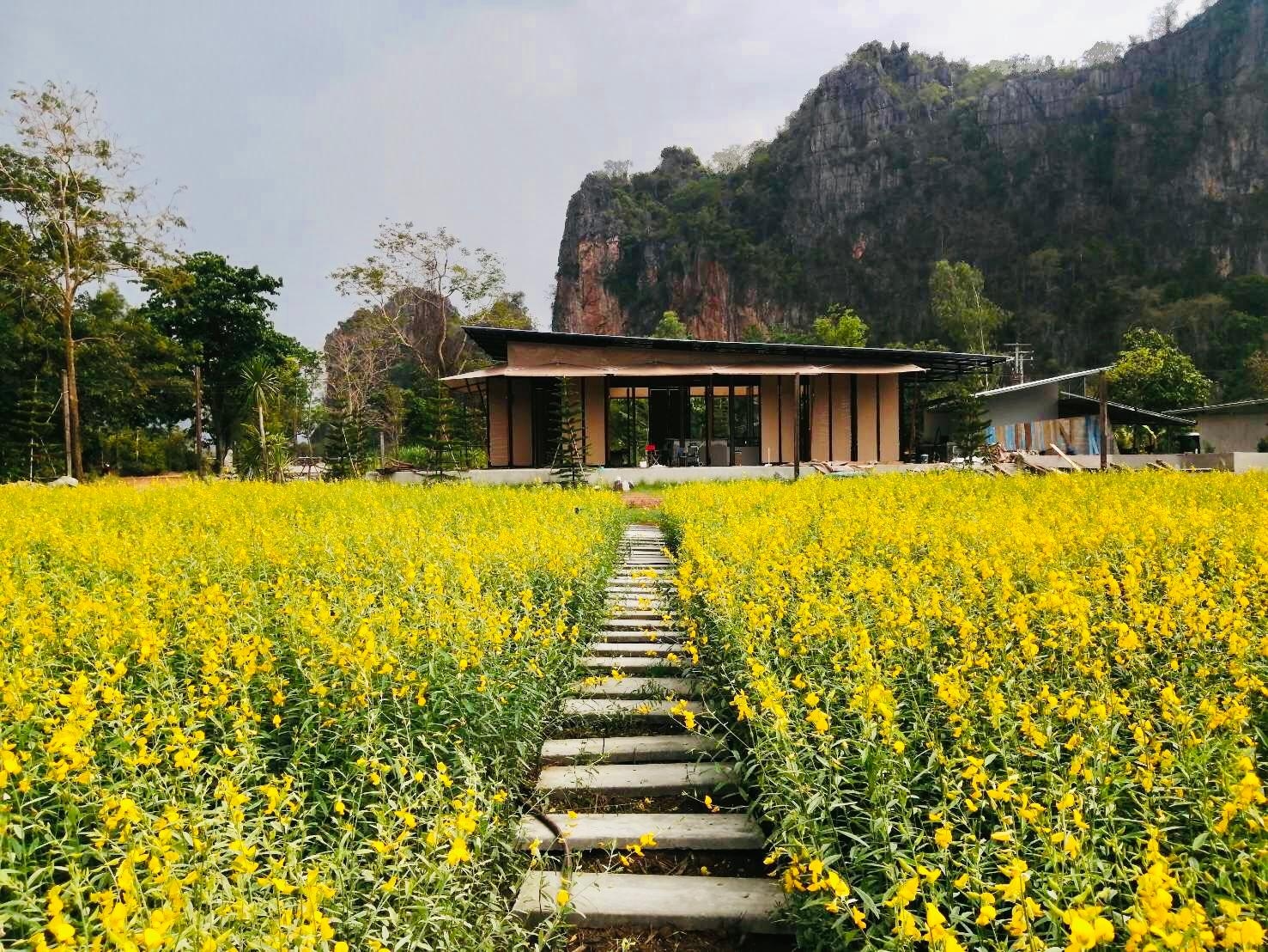 อะ โมเมนต์ ออฟ เลิฟ โดย เรดซี บ้านมุง (A Moment of Love by RedZ @Ban Mung)0