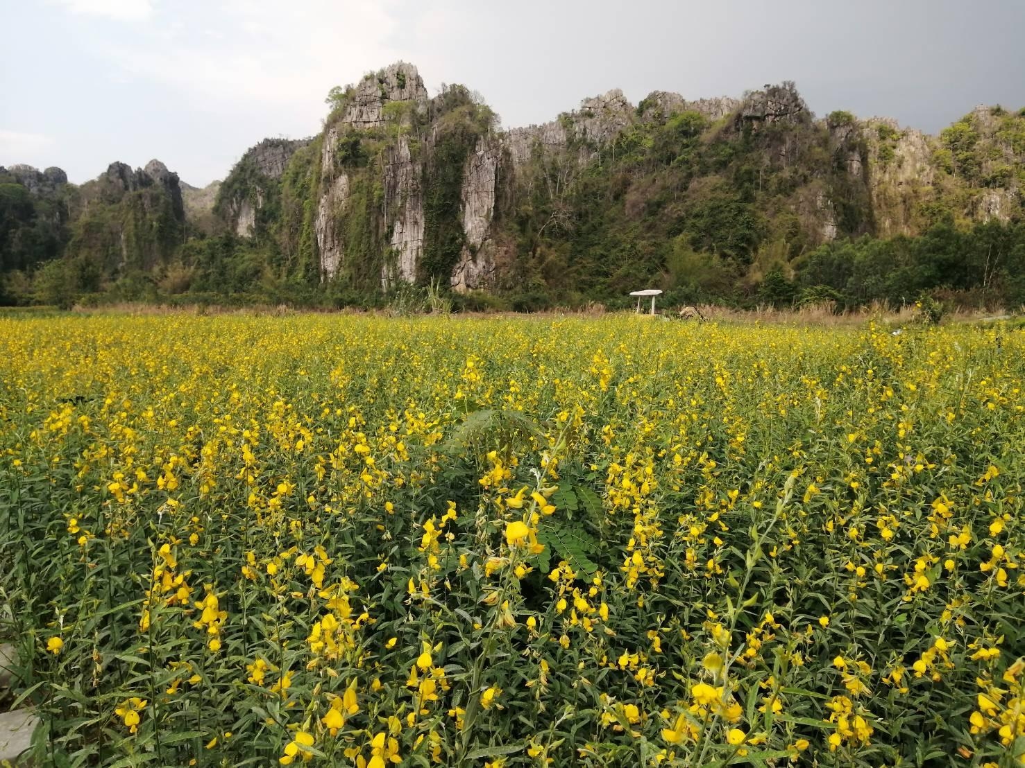อะ โมเมนต์ ออฟ เลิฟ โดย เรดซี บ้านมุง (A Moment of Love by RedZ @Ban Mung)3