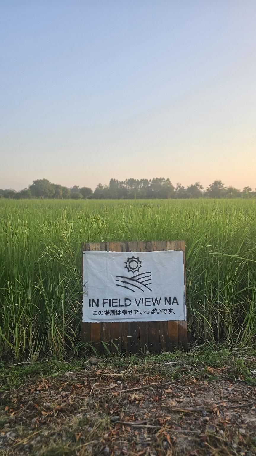 อินฟิลด์ วิวนา (Infield View Na)4