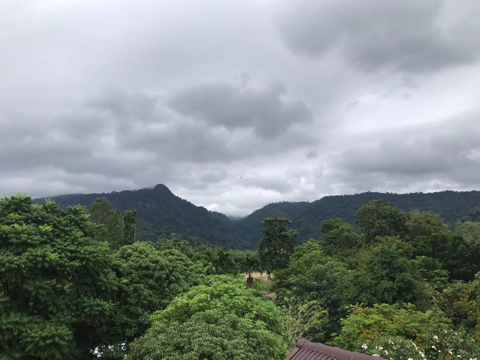 ออนมายเวย์ รีสอร์ท (On My Way Resort)3