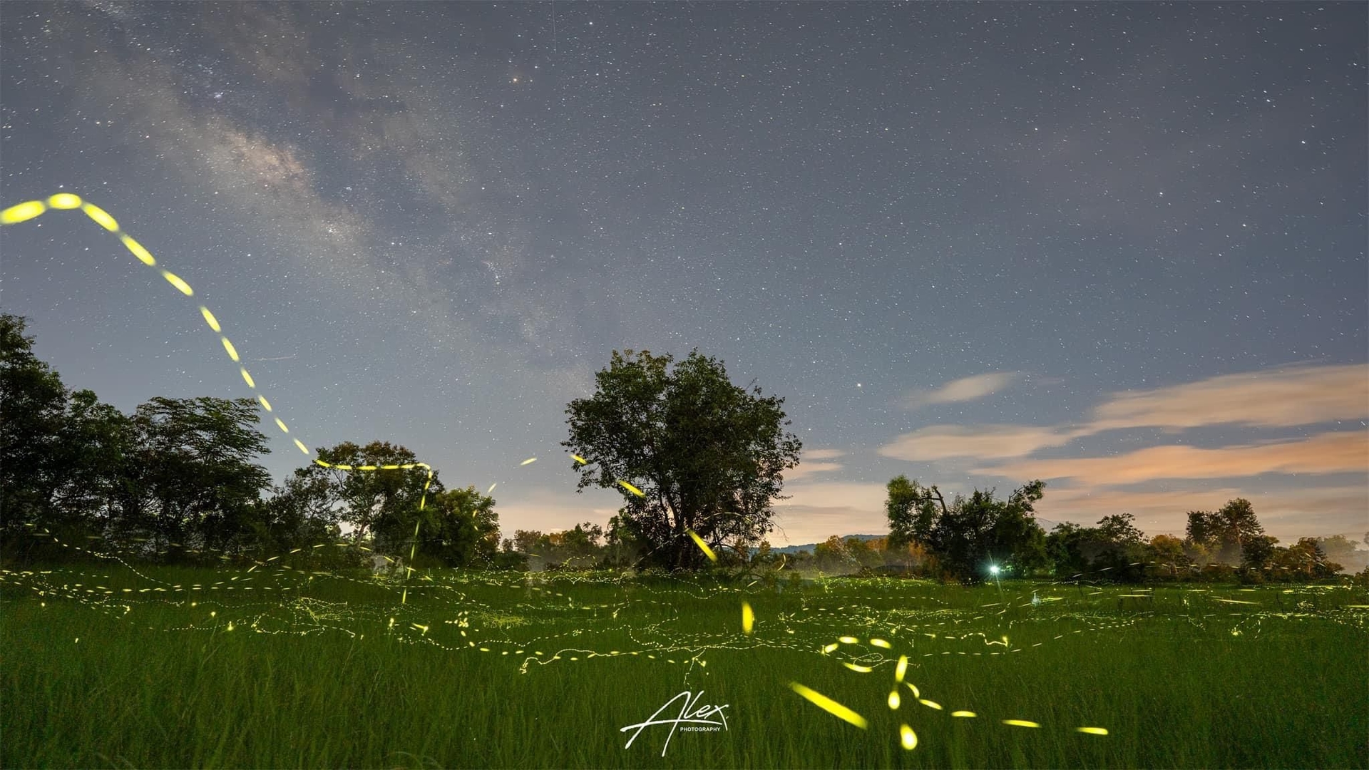 เจบี เพลส โฮเทล (JB place hotel)2