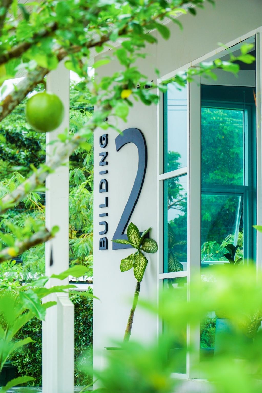 บีเอ็ม ปัตตานี อพาร์ตเมนต์ (BM Pattani Apartment)0