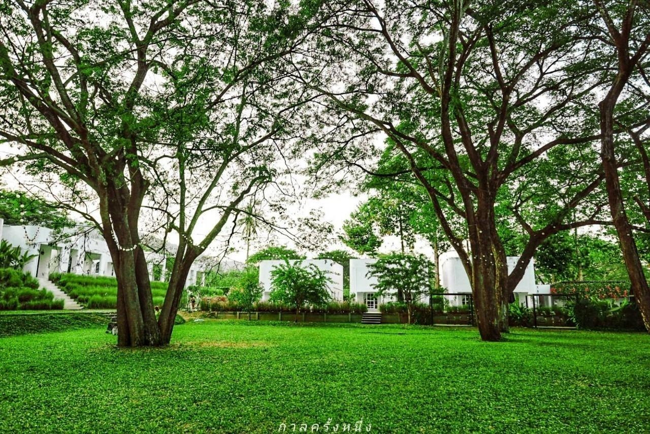 วิลล่า ฟลอร่า แก่งกระจาน (Villa La Flora Kaeng Krachan)4