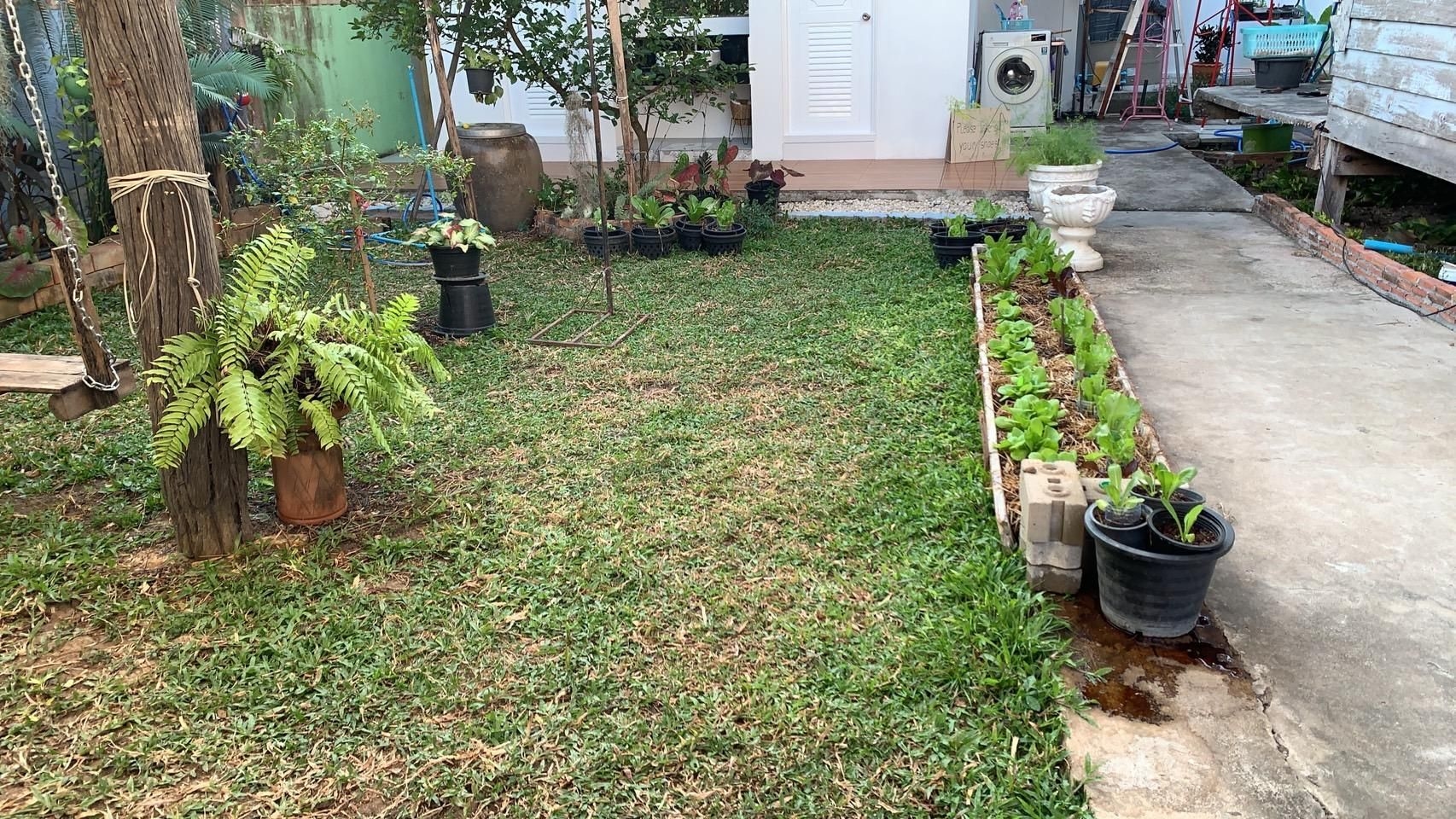 บ้านคุณย่า สุโขทัย โอลด์ ซิตี้ (Baan Khun Ya Sukhothai Old City)4