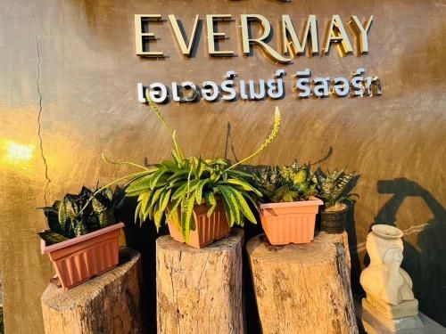 Evermay Resort0
