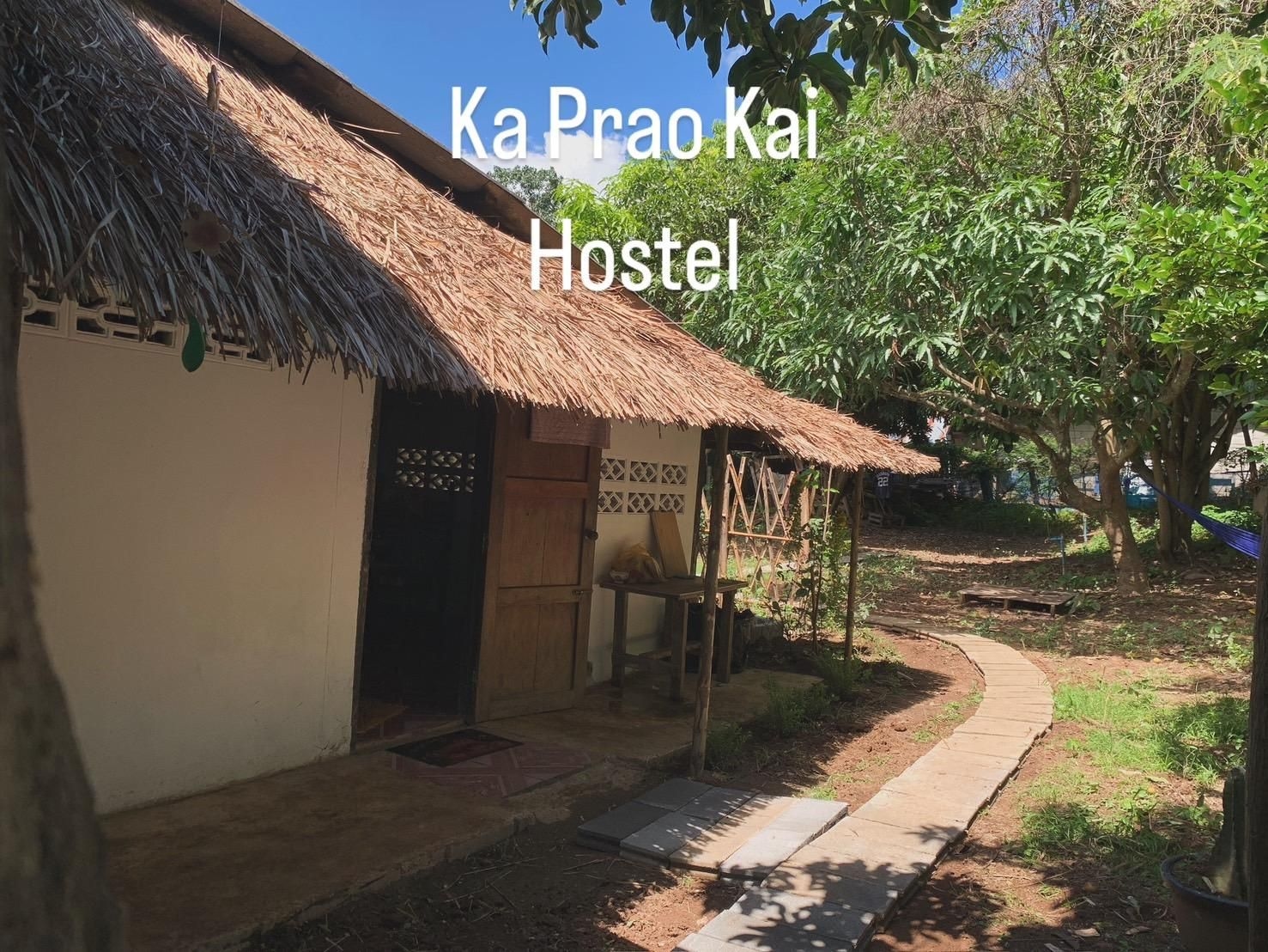 กะเพรา ไก่ โฮสเทล (Ka Prao Kai Hostel)0