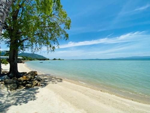 Absolute Beachfront Resort2