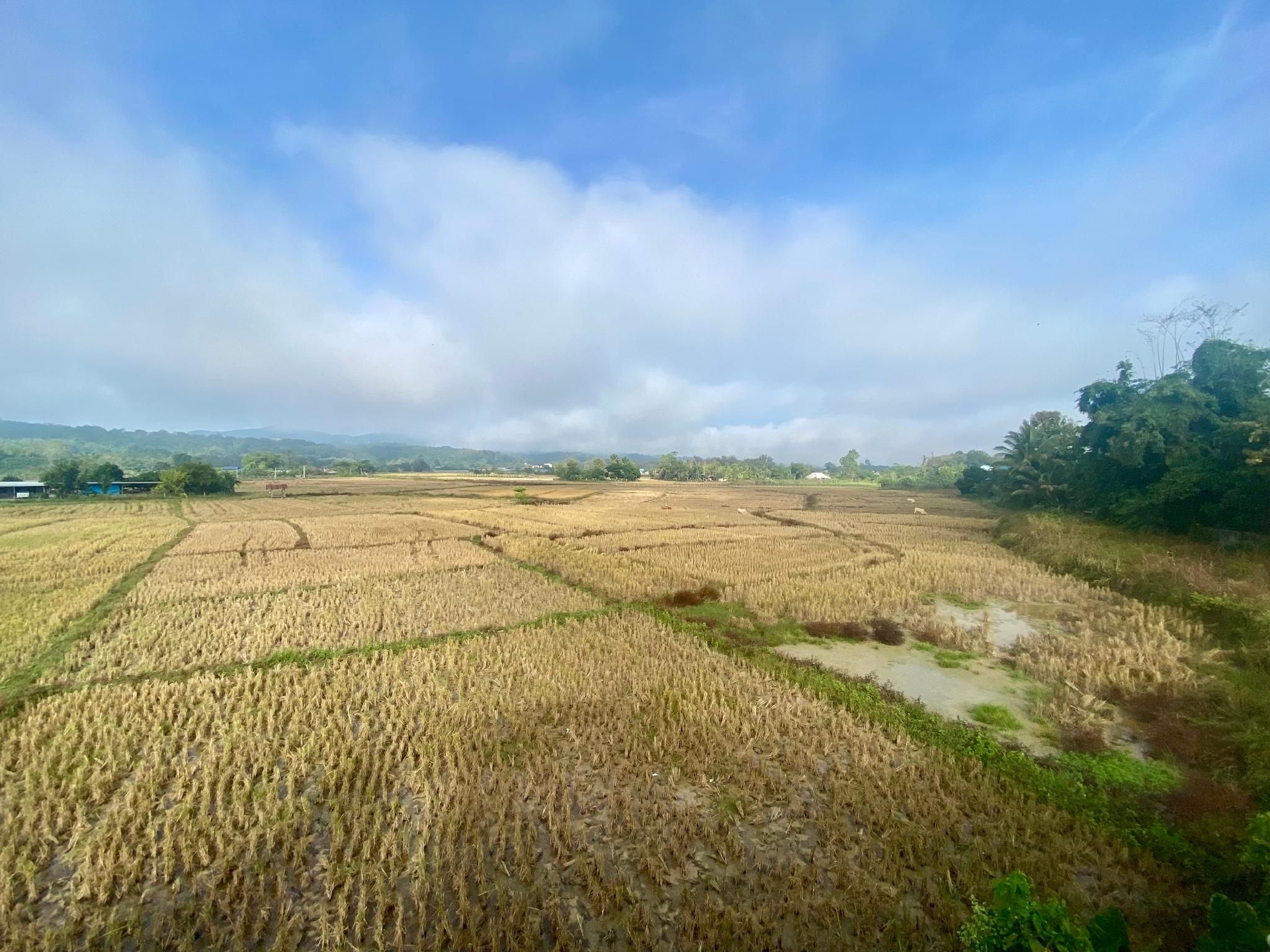 The Ray Room and Cafe @Santisuk, Nan3