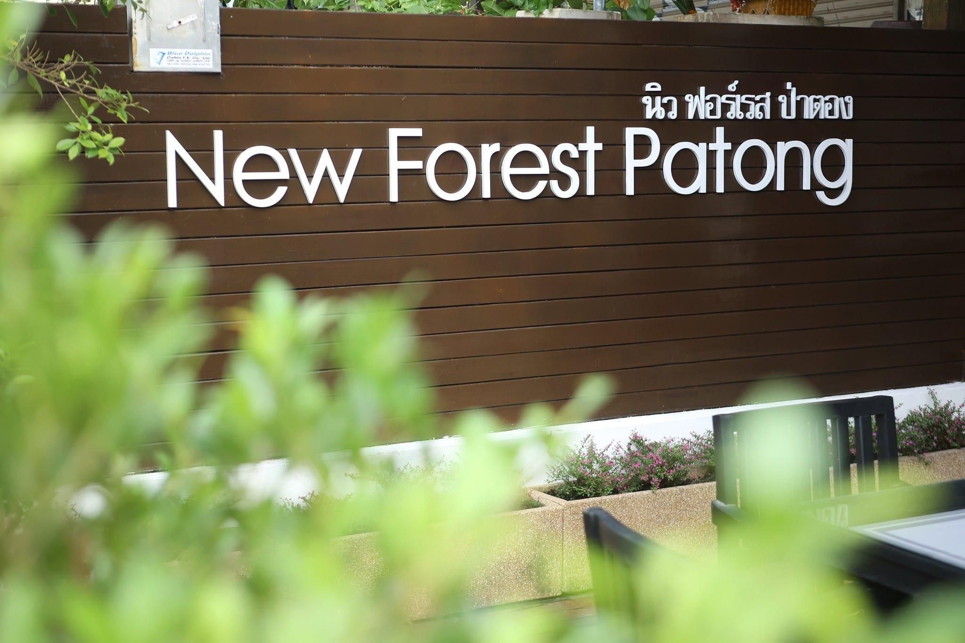 นิว ฟอเรสต์ ป่าตอง (New Forest Patong)4