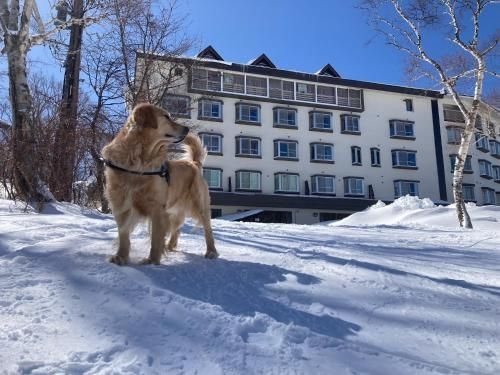 ชิกะ เล้ค โฮเต็ล (Shiga Lake Hotel)0