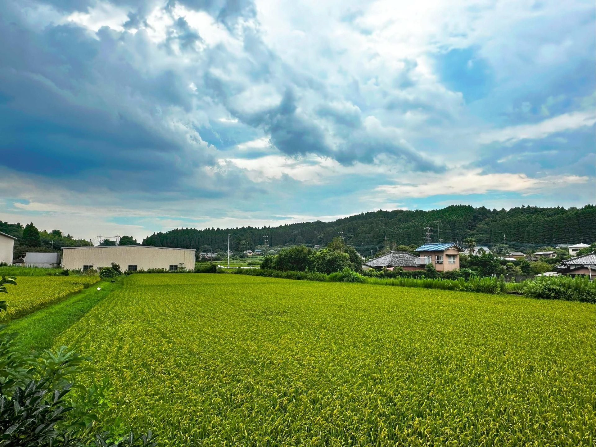 วิลล่า มินาโตะ (Villas Minato)2