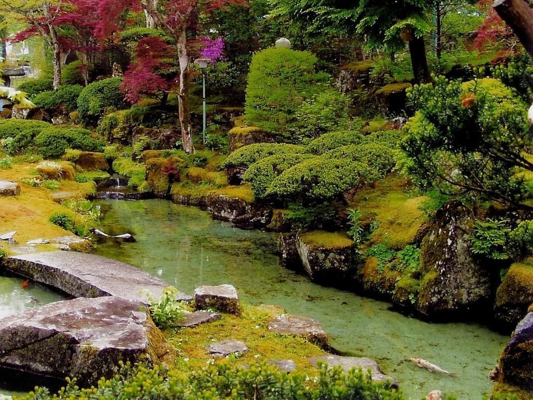 Teiensaryo Yamanakako1