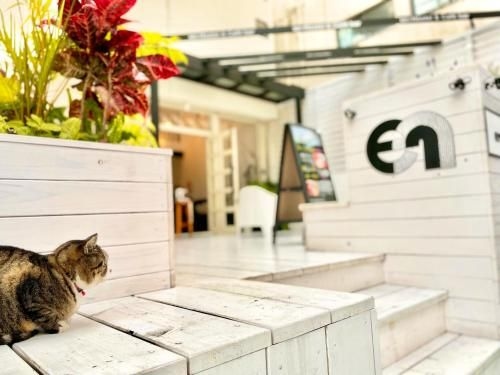 En- Hostel & Cafe bar2