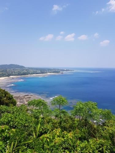 เทบิโระ บีช แบ็กแพกเกอร์ (Tebiro Beach Backpackers)0