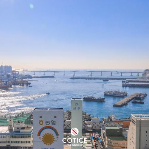 Cotice The Bridge1
