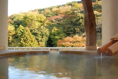 โรงแรมฮาโกเนะ ซุยเมโซ (Hakone Suimeisou Hotel)4