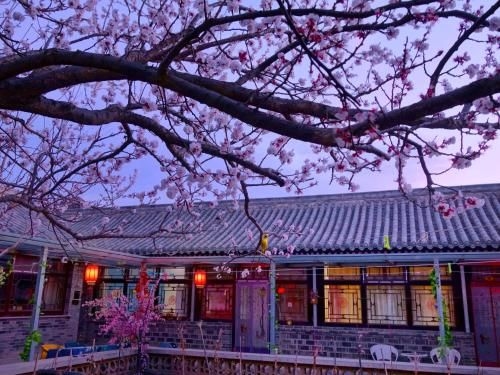 ปักกิ่ง ปาต้าหลิง เกรท วอล เซียว คอร์ทยาร์ด โฮสเทล (Beijing Badaling Great Wall Cao Courtyard Hostel)0