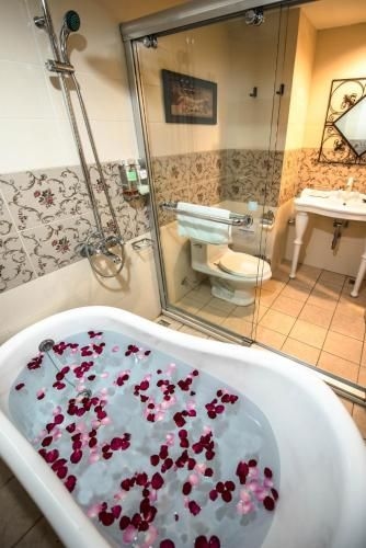 โรงแรมเอลิซาเบธ (Hotel Elizabeth)2