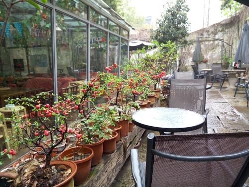Shaoxing Luxun Native Place International Youth Hostel4