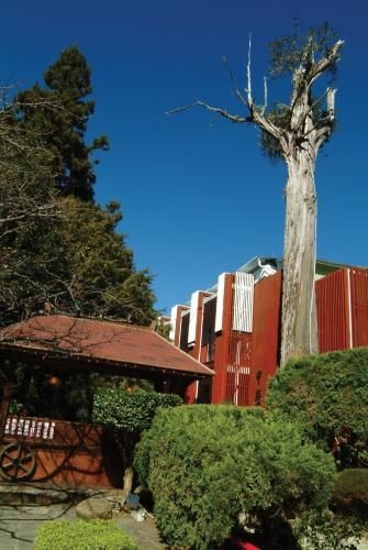 โรงแรมอาลีซาน (Alishan Hotel)4