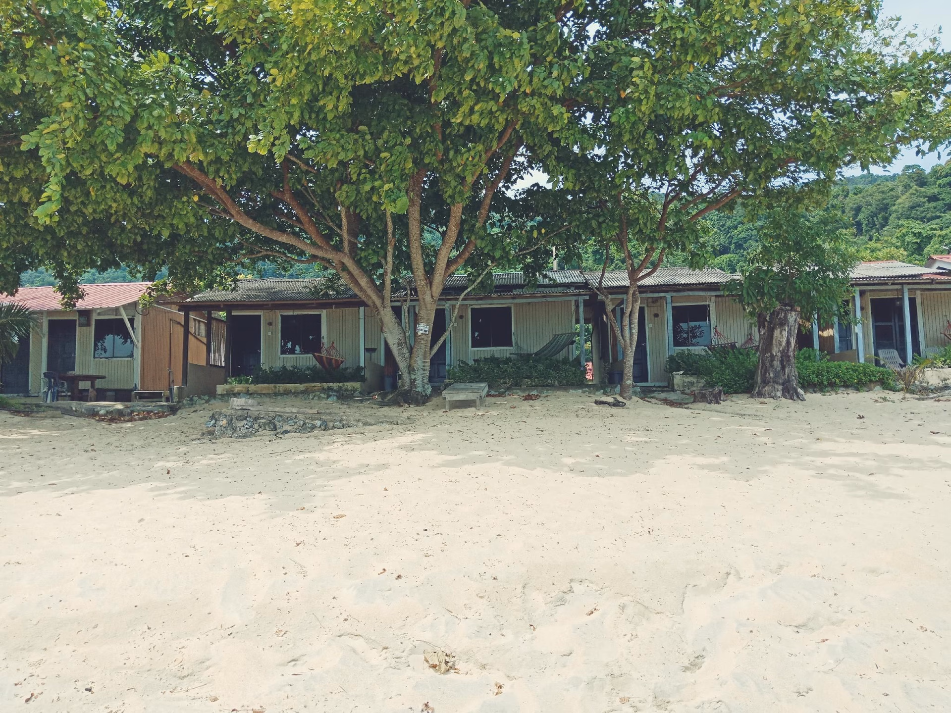 คอรัล รีฟ ฮอลิเดย์ส์ (Coral Reef Holidays)0