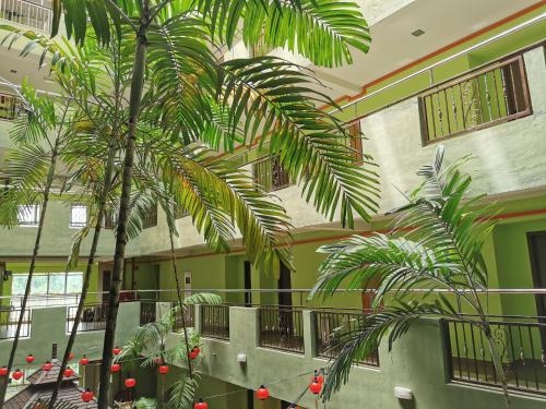 เมลัง อินน์ (Melang Inn)1