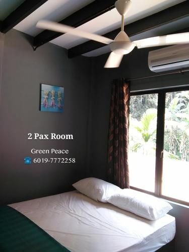 Green Peace Sungai Lembing4