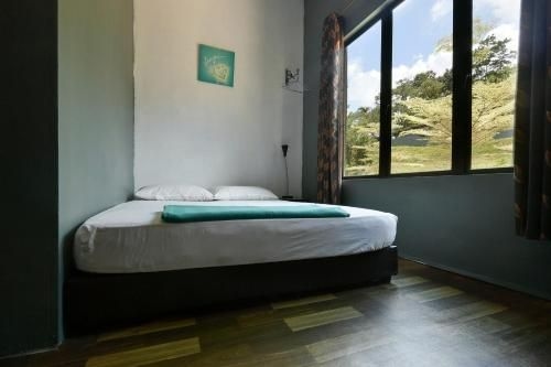 Green Peace Sungai Lembing2