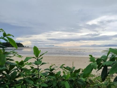 Rafflesia Resort4
