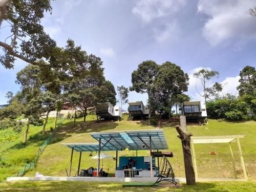 The Hill1