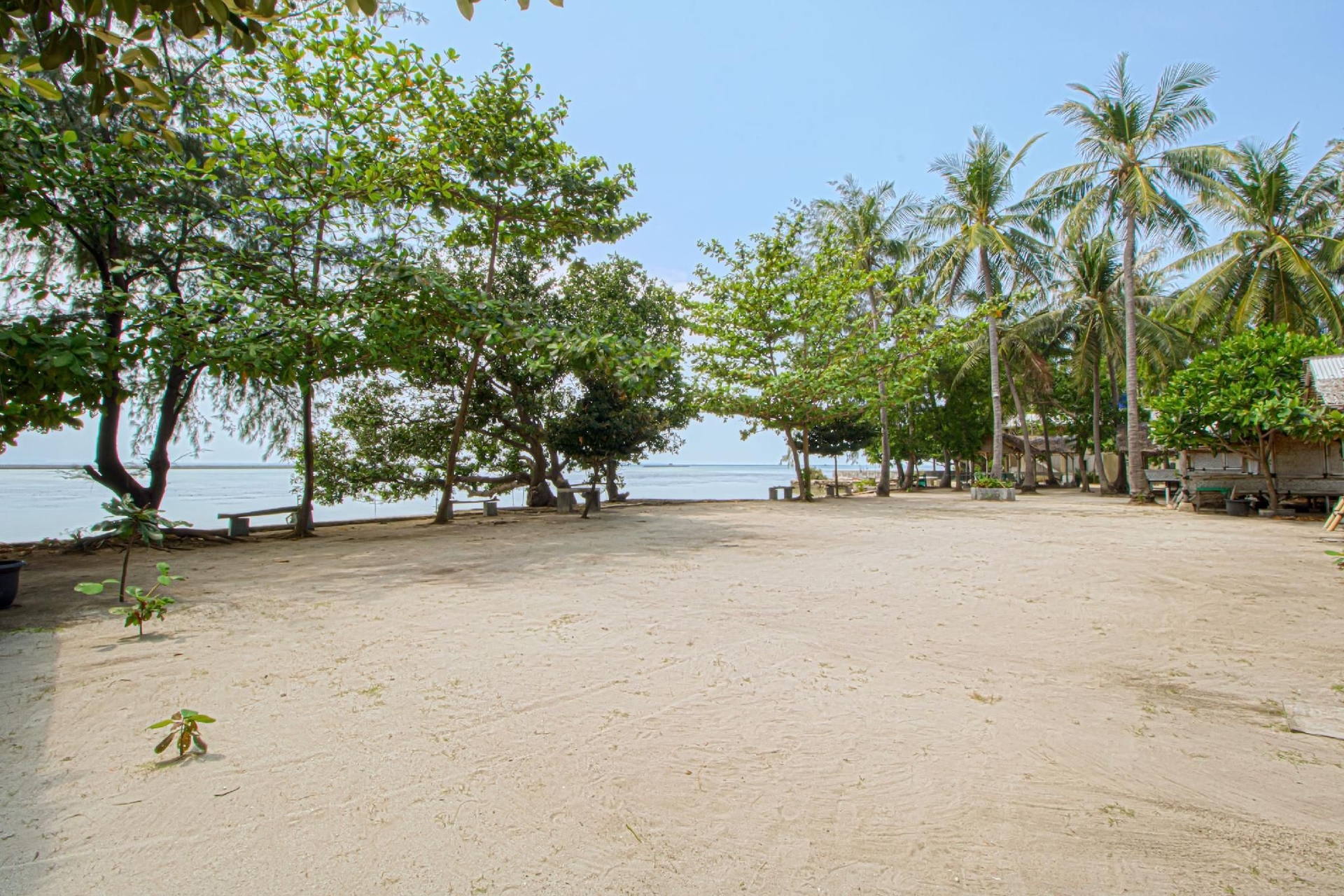 มูเทียรา ทีดัง รีสอร์ต (Mutiara Tidung Resort)4