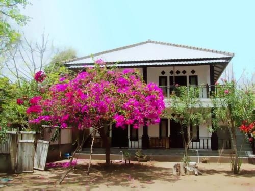The Rabbit Tree Hostel3