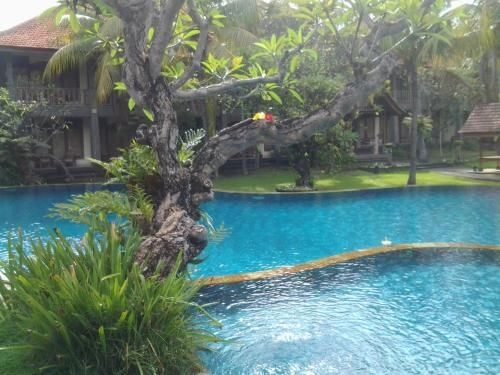 Nirwana Seaside Cottage4