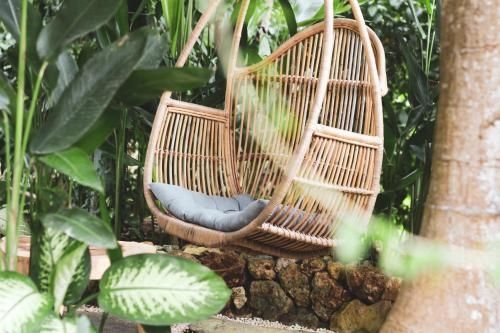 Roots Tree House4