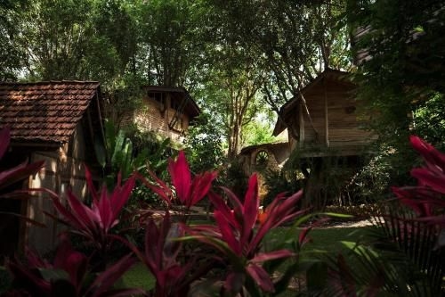 Roots Tree House3