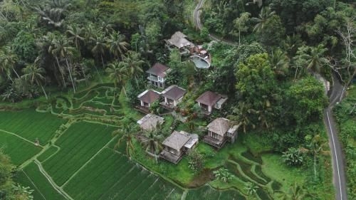 Tirta Sari0