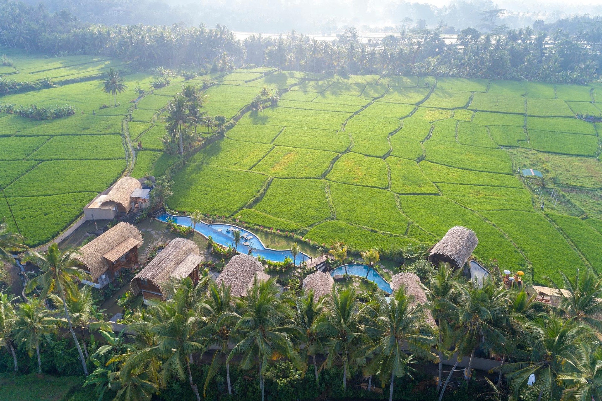 Beehouse Dijiwa Ubud0