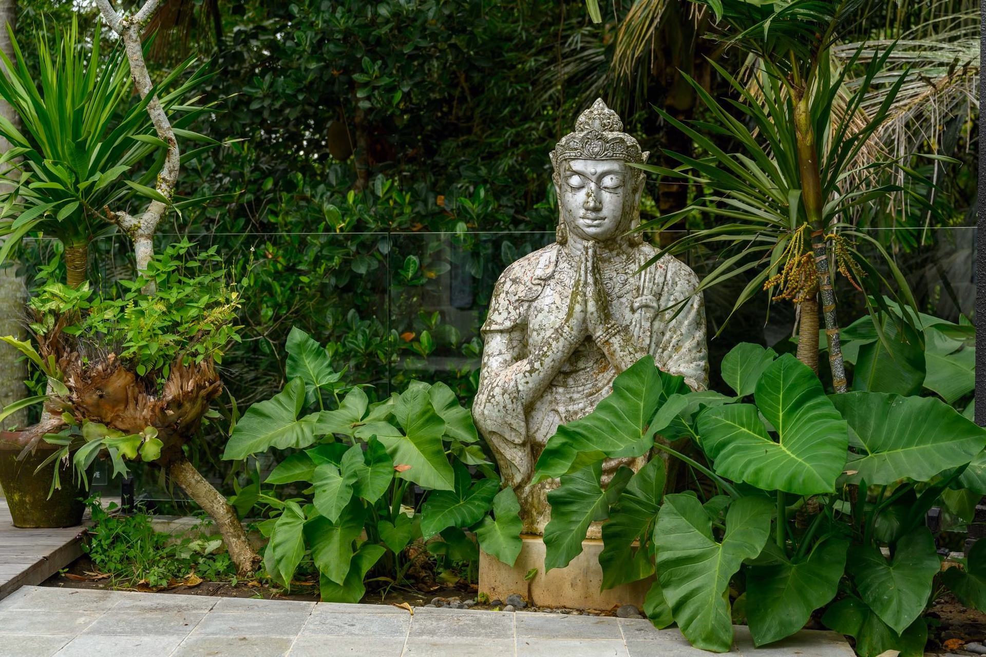 Kokokan Ubud0